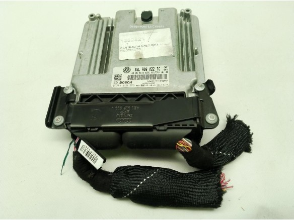 03L906022TG CENTRALITA MOTOR SEAT EXEO ST (3R5)|Desguaces La Cabaña