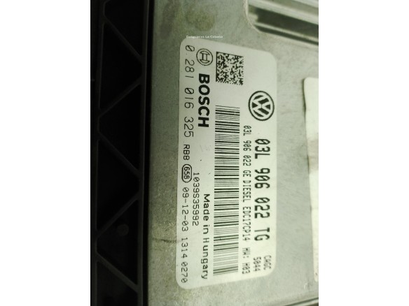 03L906022TG CENTRALITA MOTOR SEAT EXEO ST (3R5)|Desguaces La Cabaña