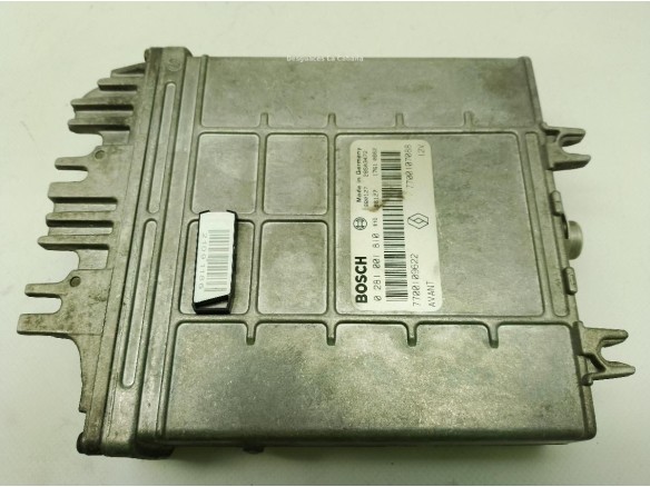 281001810 CENTRALITA MOTOR RENAULT MEGANE I (BA0/1_)|Desguaces La Cabaña