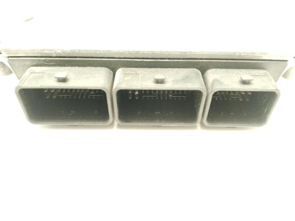 281010482 CENTRALITA MOTOR RENAULT LAGUNA II (BG0/1_)|Desguaces La Cabaña