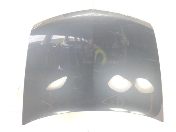 7751474143 CAPO RENAULT VEL SATIS (BJ0_)|Desguaces La Cabaña