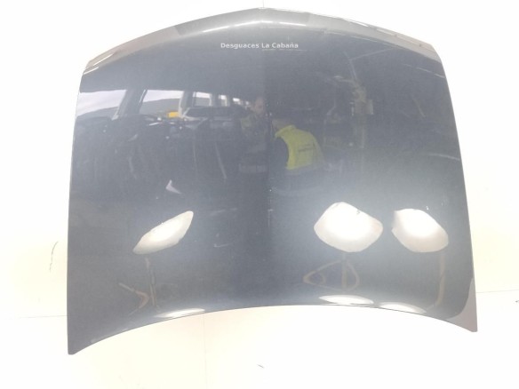 7751474143 CAPO RENAULT VEL SATIS (BJ0_)|Desguaces La Cabaña