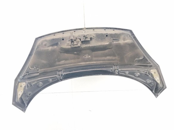 651003439R CAPO RENAULT GRAND SCENIC III (JZ0/1_)|Desguaces La Cabaña