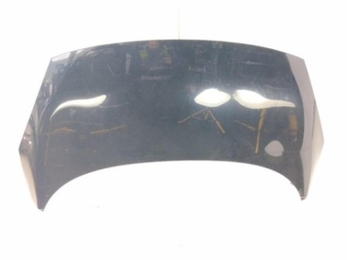 651003439R CAPO RENAULT GRAND SCENIC III (JZ0/1_)|Desguaces La Cabaña