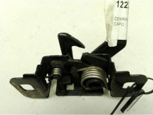 CERRADURA CAPO OPEL INSIGNIA A (G09)|Desguaces La Cabaña