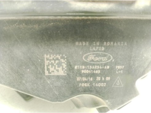 NIEBLA DEL DER FORD C-MAX II (DXA/CB7, DXA/CEU)|Desguaces La Cabaña