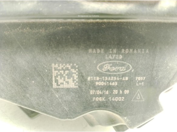 NIEBLA DEL DER FORD C-MAX II (DXA/CB7, DXA/CEU)|Desguaces La Cabaña