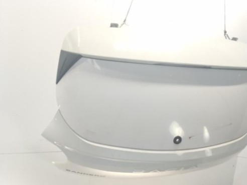 901008773R PORTON DACIA SANDERO III|Desguaces La Cabaña