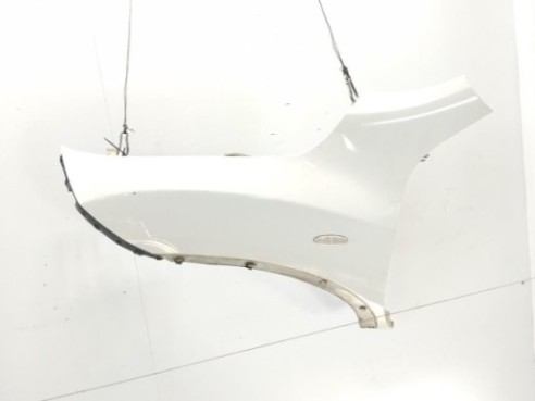   ALETA DEL IZQ NISSAN JUKE (F15)|Desguaces La Cabaña