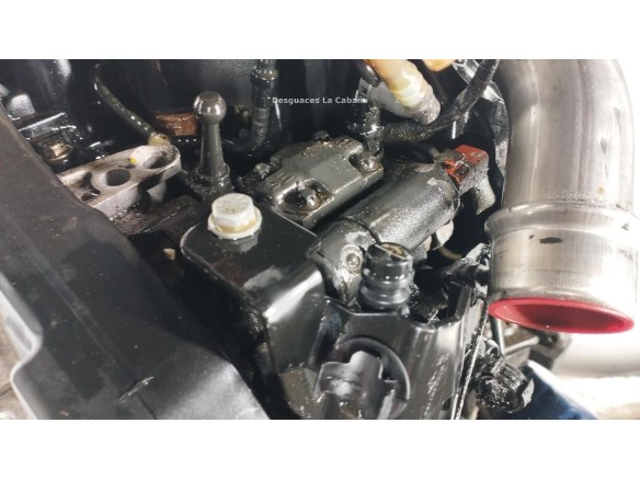 K9KN746 MOTOR RENAULT CLIO III (BR0/1, CR0/1)|Desguaces La Cabaña
