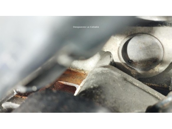 BUG MOTOR AUDI Q7 (4LB)|Desguaces La Cabaña