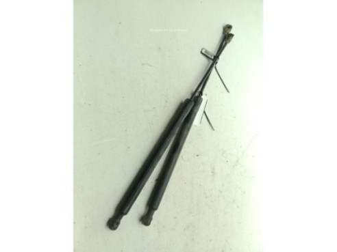 904528739R AMORTIGUADOR PORTON / TAPA MALETA RENAULT MEGANE IV (B9A/M_)|Desguaces La Cabaña