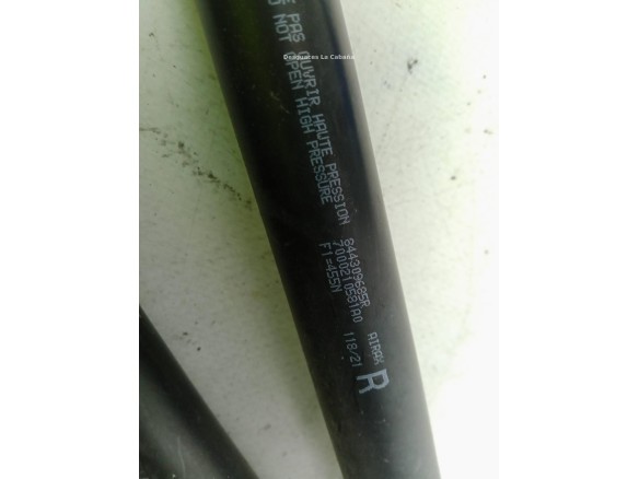 904528739R AMORTIGUADOR PORTON / TAPA MALETA RENAULT MEGANE IV (B9A/M_)|Desguaces La Cabaña