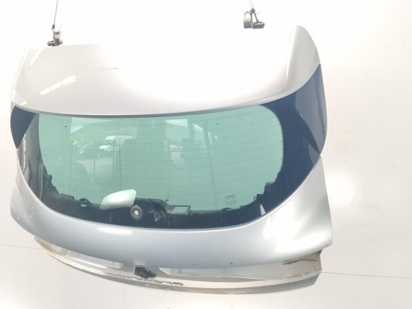 901007547R PORTON RENAULT MEGANE IV (B9A/M_)|Desguaces La Cabaña