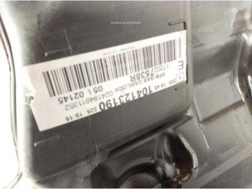 172025369R DEPOSITO COMBUSTIBLE RENAULT MEGANE IV (B9A/M_)|Desguaces La Cabaña