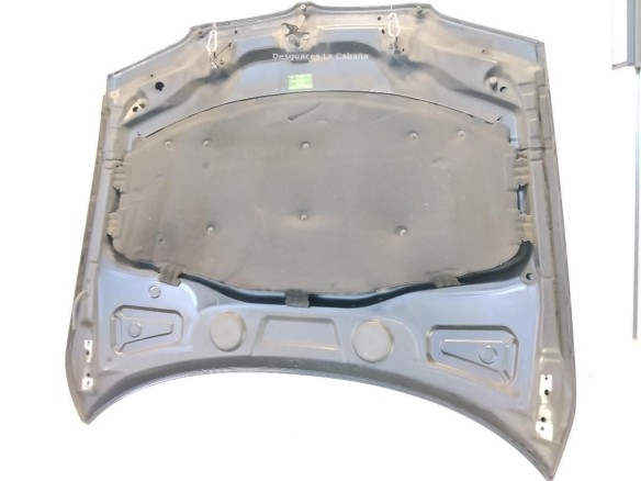 41003449411 CAPO BMW X3 (E83)|Desguaces La Cabaña