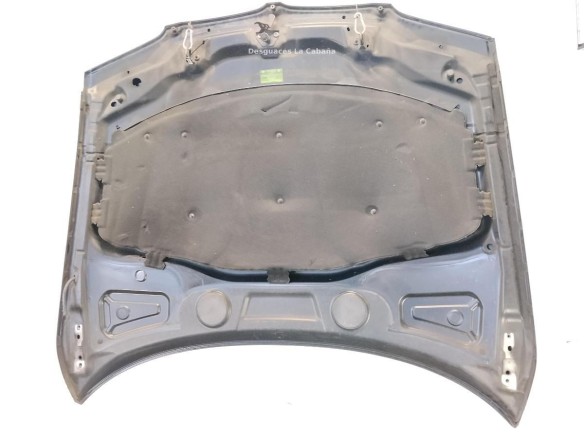 41003449411 CAPO BMW X3 (E83)|Desguaces La Cabaña