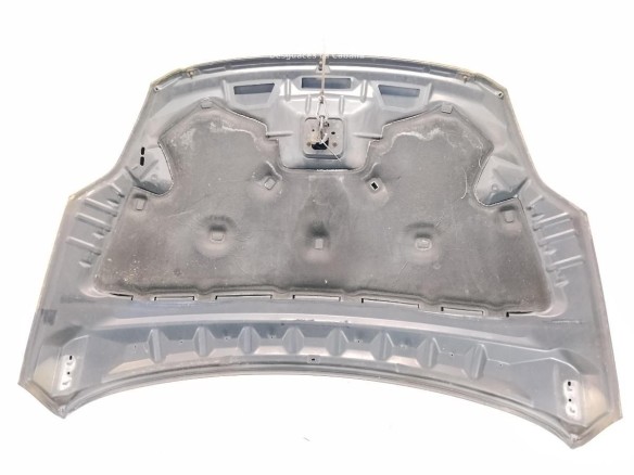 1718513 CAPO FORD KUGA I|Desguaces La Cabaña
