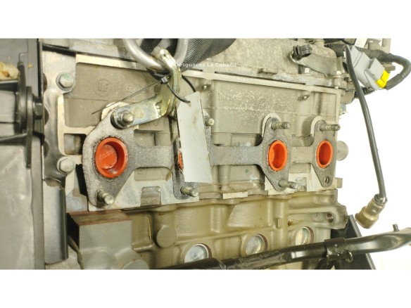 169A4000 MOTOR FORD KA (RU8)|Desguaces La Cabaña