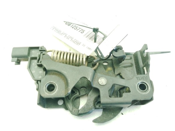 2496207, JX7A16700AE CERRADURA CAPO FORD FOCUS IV (HN)|Desguaces La Cabaña