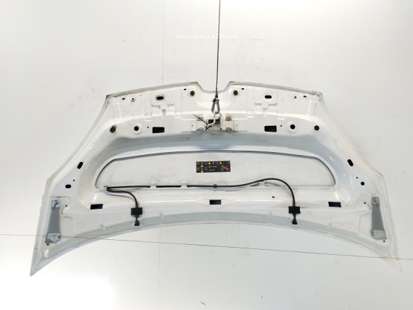 651009758R CAPO RENAULT KANGOO Express (FW0/1_)|Desguaces La Cabaña