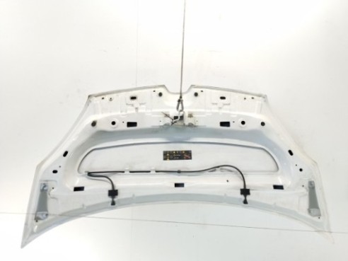 651009758R CAPO RENAULT KANGOO Express (FW0/1_)|Desguaces La Cabaña