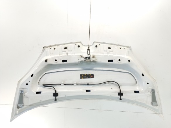 651009758R CAPO RENAULT KANGOO Express (FW0/1_)|Desguaces La Cabaña