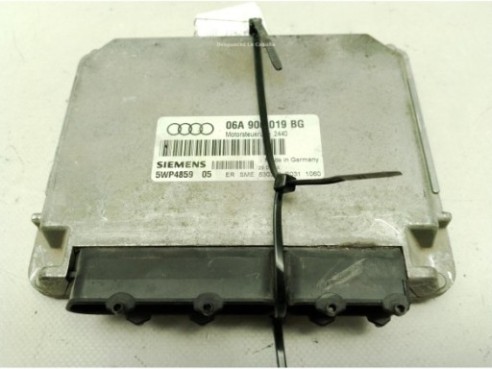 06A906019BG,5WP4859, CENTRALITA MOTOR VOLKSWAGEN SinValor|Desguaces La Cabaña