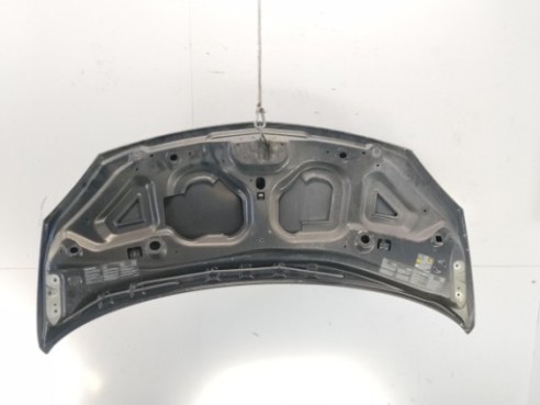 651003355R CAPO RENAULT TWINGO II (CN0_)|Desguaces La Cabaña