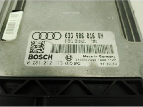 03G906016GN, CENTRALITA MOTOR AUDI A4 (8EC, B7)|Desguaces La Cabaña