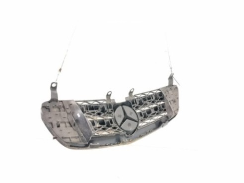 A2517400805 PORTON MERCEDES BENZ CLASE R (W251, V251)|Desguaces La Cabaña 2