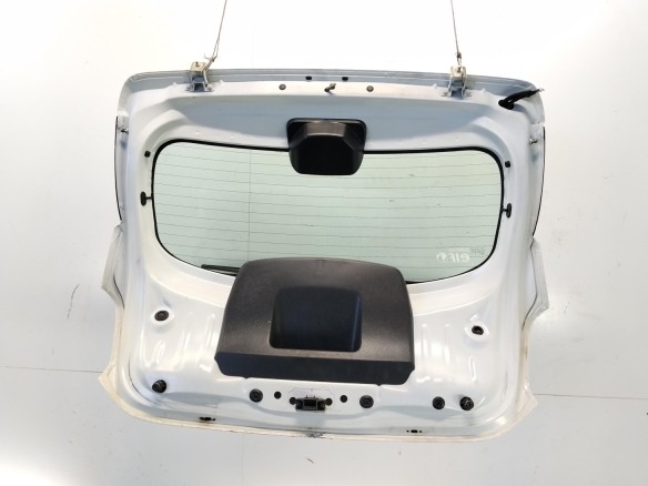 901003145R PORTON DACIA SANDERO II|Desguaces La Cabaña