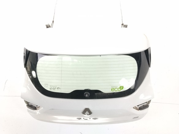 901008961R PORTON RENAULT CLIO IV (BH_)|Desguaces La Cabaña