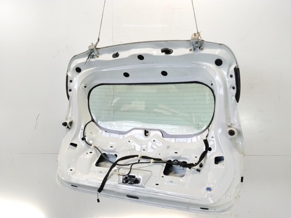901008961R PORTON RENAULT CLIO IV (BH_)|Desguaces La Cabaña