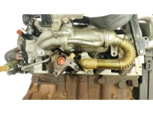 K9KG724 MOTOR RENAULT SCÉNIC II (JM0/1_)|Desguaces La Cabaña