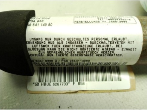 1040092244202104 AIRBAG CORTINA DER CITROEN C4 Picasso I Limusina (UD_)|Desguaces La Cabaña