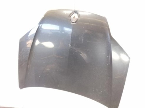 651000021R CAPO RENAULT LAGUNA III (BT0/1)|Desguaces La Cabaña