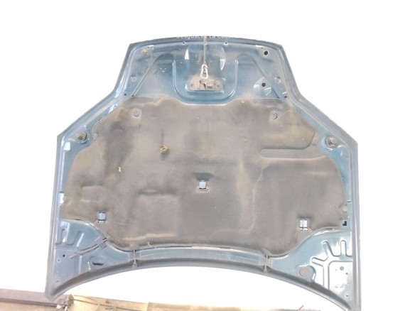 651000021R CAPO RENAULT LAGUNA III (BT0/1)|Desguaces La Cabaña