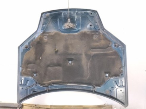 651000021R CAPO RENAULT LAGUNA III (BT0/1)|Desguaces La Cabaña