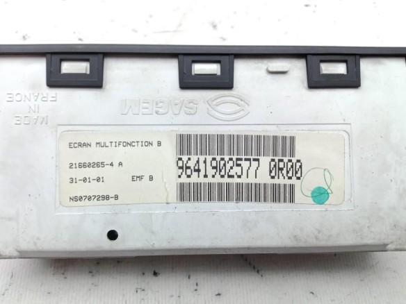 9641902577 DISPLAY PEUGEOT 406 (8B) |Desguaces La Cabaña