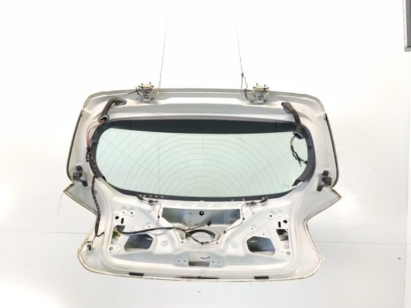41007305470 PORTON BMW 1 (F20)|Desguaces La Cabaña