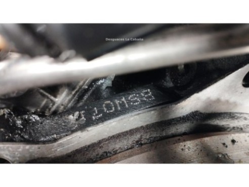 BSW MOTOR SKODA ROOMSTER (5J)|Desguaces La Cabaña