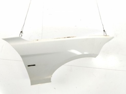 41009633538 ALETA DEL DER BMW 1 (F20)|Desguaces La Cabaña