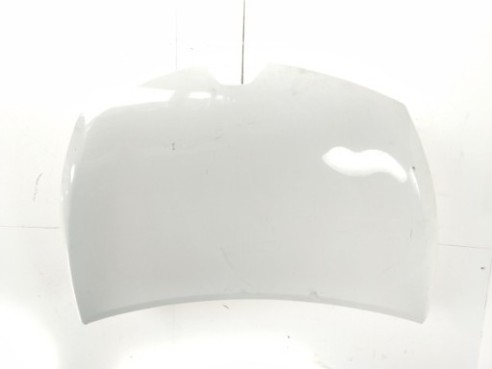 651009833R CAPO RENAULT CLIO IV (BH_)|Desguaces La Cabaña