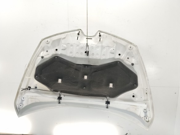 651009833R CAPO RENAULT CLIO IV (BH_)|Desguaces La Cabaña