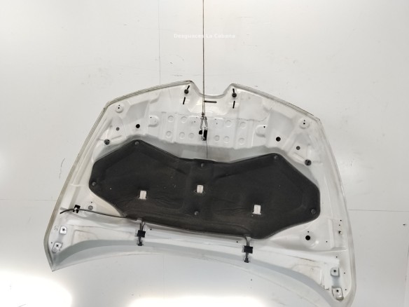 651009833R CAPO RENAULT CLIO IV (BH_)|Desguaces La Cabaña