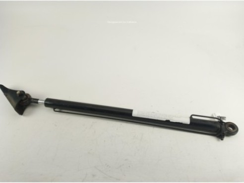 81978122319 PISTON ELEVAR CABINA MAN TGX II|Desguaces La Cabaña