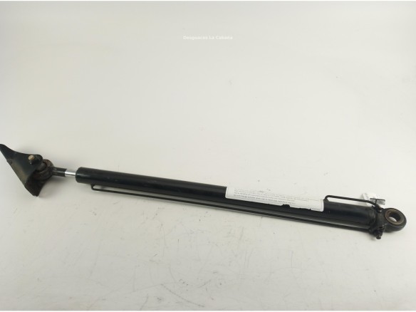 81978122319 PISTON ELEVAR CABINA MAN TGX II|Desguaces La Cabaña