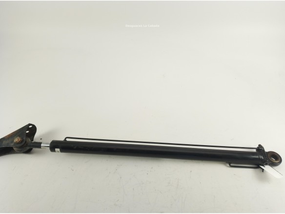 81978122319 PISTON ELEVAR CABINA MAN TGX II|Desguaces La Cabaña