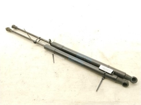 51247239871 AMORTIGUADOR PORTON / TAPA MALETA BMW 1 (F20)|Desguaces La Cabaña
